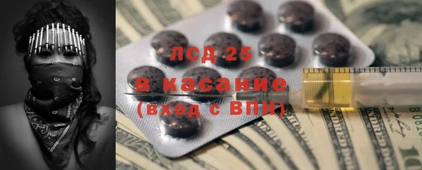ПСИЛОЦИБИНОВЫЕ ГРИБЫ Армянск