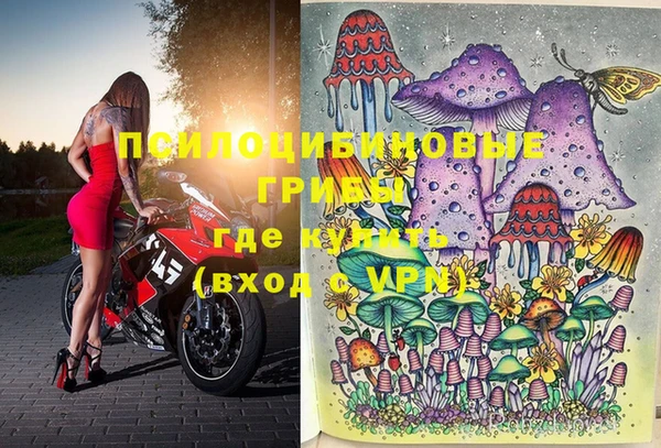 ПСИЛОЦИБИНОВЫЕ ГРИБЫ Армянск