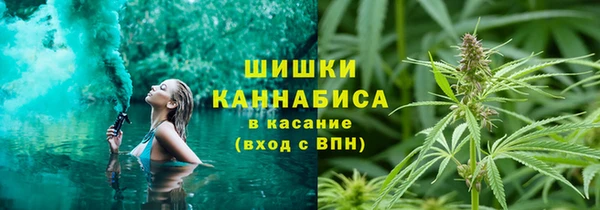 ПСИЛОЦИБИНОВЫЕ ГРИБЫ Армянск