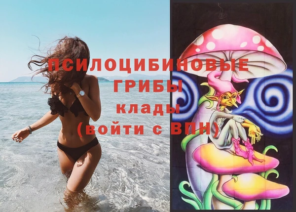 ПСИЛОЦИБИНОВЫЕ ГРИБЫ Армянск